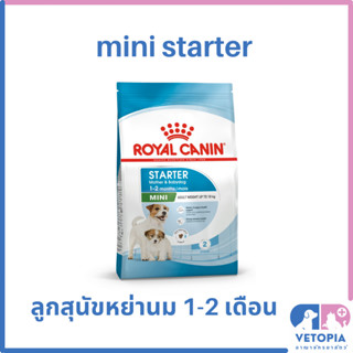 Royal Canin Mini Starter 1 kg อาหารสุนัขสำหรับลูกสุนัขพันธุ์เล็กหย่านม อายุ 1-2 เดือน