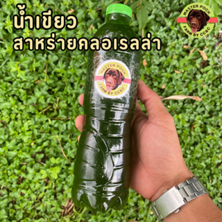 หัวเชื้อน้ำเขียว (สาหร่ายคลอเรลล่า) ขนาด 500 ml