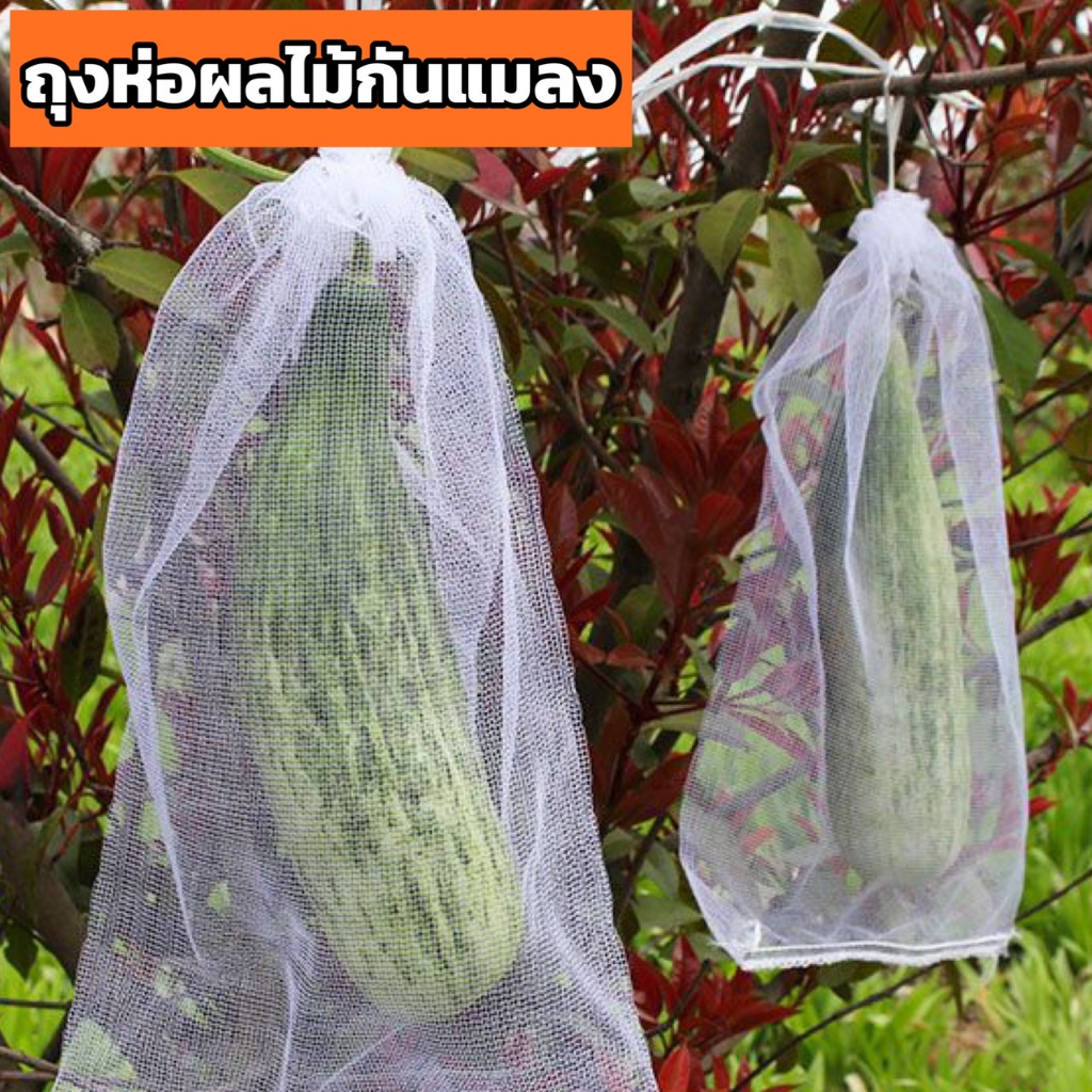 ถุงห่อผลไม้กันแมลง ถุงตาข่ายไนลอน(1แพ็ค 10 ใบ) ป้องกันแมลง ผลไม้ ผ้าแก้ว  ระบายน้ำได้ ระบายอากาศได้ดี มีหูรูด น้ำไม่ขัง