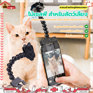 ไม้เซลฟี่ สำหรับสัตว์เลี้ยง อุปกรณ์สัตว์เลี้ยง ถ่ายรูปสัตว์เลี้ยง พับได้มา พท์มุนได้ 360  ขนาดเล็กและพกพาสะดวก