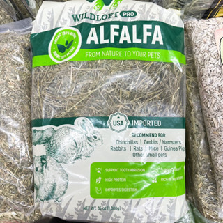 Wildloft PRO Premium Natural Alfalfa ร่อนฝุ่น 1 kg ก้านใหญ่ปานกลาง มีใบเยอะ เขียวกำลังดีกับกระต่าย มีโปรตีน แคลเซียม