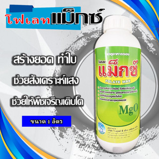 โฟเลท แม็กซ์ แมกนีเซียม ( MgO ) สูตรเข้มข้นในรูปคีเลท ( EDTA ) ทำให้พืชใบเขียวเข้ม เร่งเขียว ต้านทานโรค ธาตุอาหารรอง