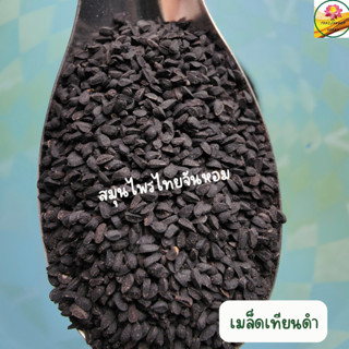 เมล็ดเทียนดำ  เทียนดำ Black seed ขนาด 20 กรัม