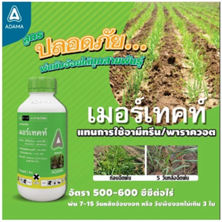 เมอร์เทคท์ 1 ลิตร ง่าย...ในขวดเดียวกำจัดหญ้าในไร่ข้าวโพด