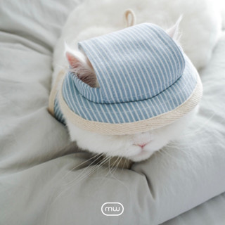 minimeow blue striped bucket hat - หมวกน้องหมา น้องแมว ลายทางสีฟ้าขาว น่ารักมาก