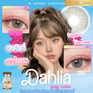 คอนแทคเลนส์ (ตาโต)🌟 Dahlia 🌟 ลดอาการตาแห้ง วัสดุMPC อมน้ำ55% Mayalens กรองแสง Made in Korea 🇰🇷