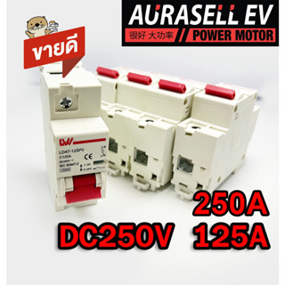 เบรคเกอร์ สำหรับรถไฟฟ้า 125A และ250A  250V 1P