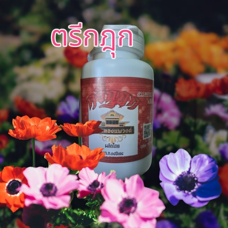 สมุนไพร ตรีกฎุก (เหมาะกับหน้าฝน)60caps