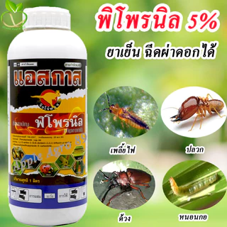 🎁ยกลัง ถูกชัวร์ แอสกาส พิโพรนิล ขนาด 1 ลิตร x 12 ขวด พิโพนิล หนอน ปลวก พิโพรนิลยกลัง พิโพรนิล80 พิโพรนิล5เอสซี