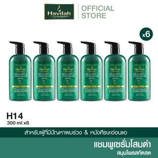 ชุด H14 ฮาวิล่าห์ (Havilah) แชมพูแก้ผมร่วง 300มล. x6 (ส่งฟรี)