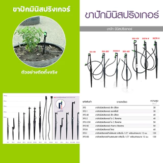 ไชโย (แพ็ค50ตัว) ขาปักมินิสปริงเกอร์พร้อมที่ล็อคสาย ขาปักมินิสปริงเกอร์ไม่มีที่ล็อคสาย ความสูง30-50ซม.