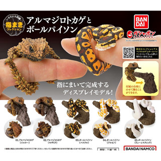 (ครบชุดพร้อมส่ง) กาชาปองกิ้งก่ามังกร &amp; งูหลามบอล Gashapon Bandai Ikimono Encyclopedia Armadillo Lizard &amp; Ball Python V.3