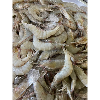 กุ้งขาวคัดไซต์สดใหม่จากบ่อกุ้งสงขลา🦐🦐