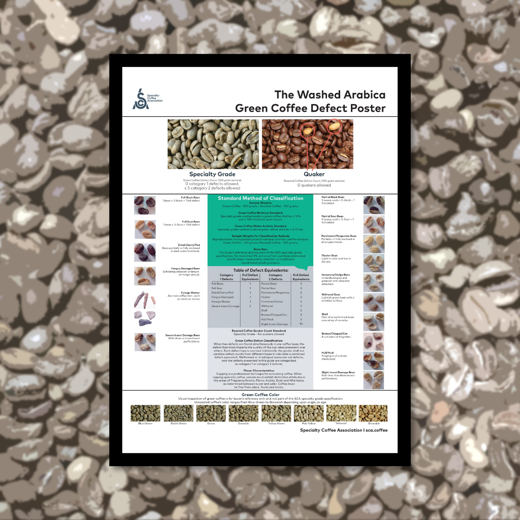 Poster : การจำแนกเมล็ดสารกาแฟบกพร่อง [Washed Arabica Green Coffee Defect] มีขนาด A4, A3 พร้อมกรอบ (รับพิมพ์ตามออเดอร์)