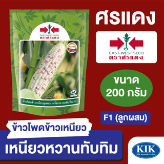 เมล็ดพันธุ์ ผักซอง ศรแดง BIG ข้าวโพดข้าวเหนียว เหนียวหวานทับทิม บรรจุ 200 กรัม