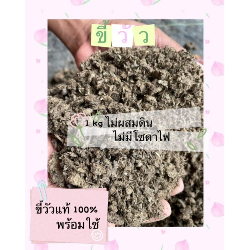 ปุ๋ยคอก มูลวัว ไม่ผสมดิน (1kg) พร้อมใช้ บำรุงพืชผักสวนครัว ไม้ดอกและไม้ประดับ