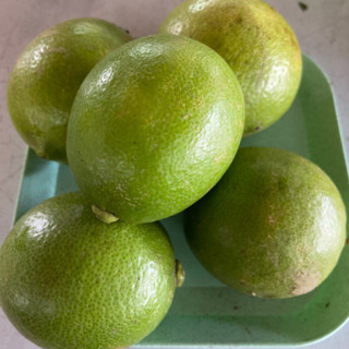 มะนาวไร้เม็ด เปลือกบาง น้ำเยอะ 1กิโล 50 บาท เก็บสด