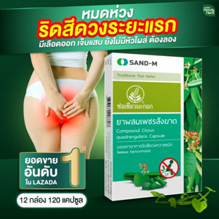 SAND-M เพชรสังฆาต ช่อเขียวมะกอก บรรเทาอาการริดสีดวงทวาร ขนาด 10 แคปซูล x 12 แผง / กล่อง (ยาสามัญประจำบ้าน)