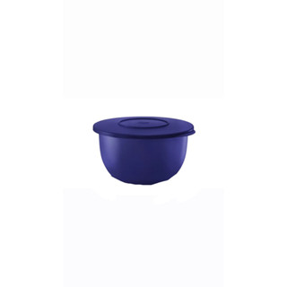 Tupperware รุ่น Expression Bowl Large (1) 4.3L