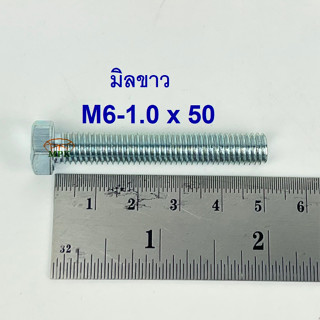 สกรูมิลขาวเกลียวตลอด ปะแจเบอร์10 ขนาด M6-1.0 x 50 (บรรจุ 100 ตัว)