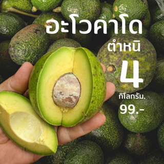 อะโวคาโดตำหนิ 4 กิโลกรัม 99 บาท