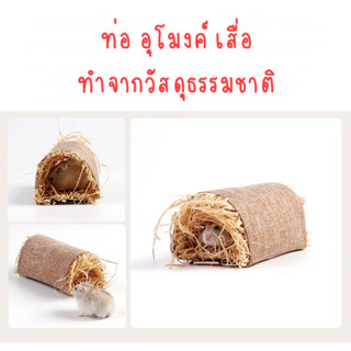 พร้อมส่งในไทย🇹🇭ท่อ อุโมงค์ เสื่อ สำหรับหนู ชูก้า กระรอก กระต่าย
