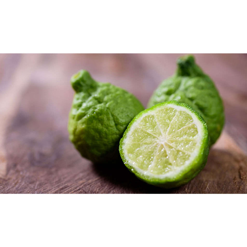 ต้นมะกรูด ต้นเสียบยอด🍐เปลือกหอม น้ำเยอะ ปลูกง่าย🌲ความสูงต้นประมาณ 45-50 ซม.🌴🌴 - รูปที่ 6