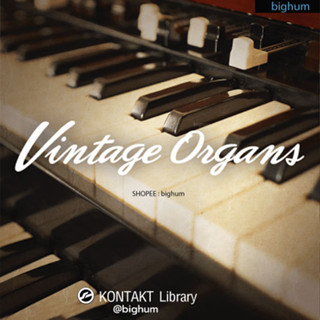 VINTAGE ORGANS Kontakt | bighum