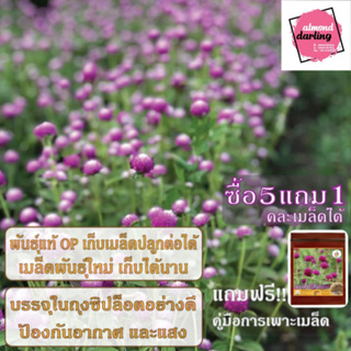 ซื้อ5 แถม1 เมล็ดพันธุ์ ดอกบานไม่รู้โรย สีม่วง 20 เมล็ด (Purple Globe Amaranth Flower Seed) เมล็ดพันธุ์แท้ ปลูกง่าย อัตรา