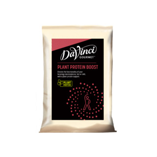 AE - Davinci Gourmet Plant Protein Boost Powder 500g.