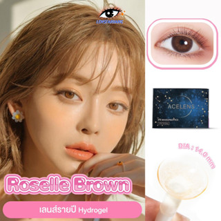 Acelens รุ่น Roselle Brown 🍊 คอนแทคเลนส์สีน้ำตาลสว่างธรรมชาติ พร้อมส่งรายปี นำเข้าจากเกาหลี 🇰🇷 lensfarhang