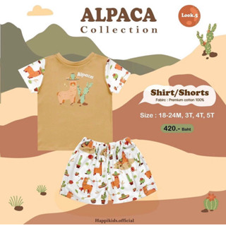 ชุดเซตเด็กผู้ชาย Alpaca collectiacon 05
