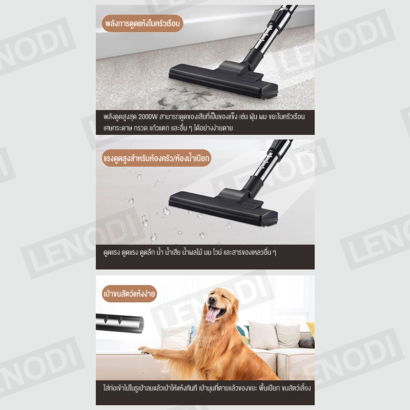 รูปภาพ 4