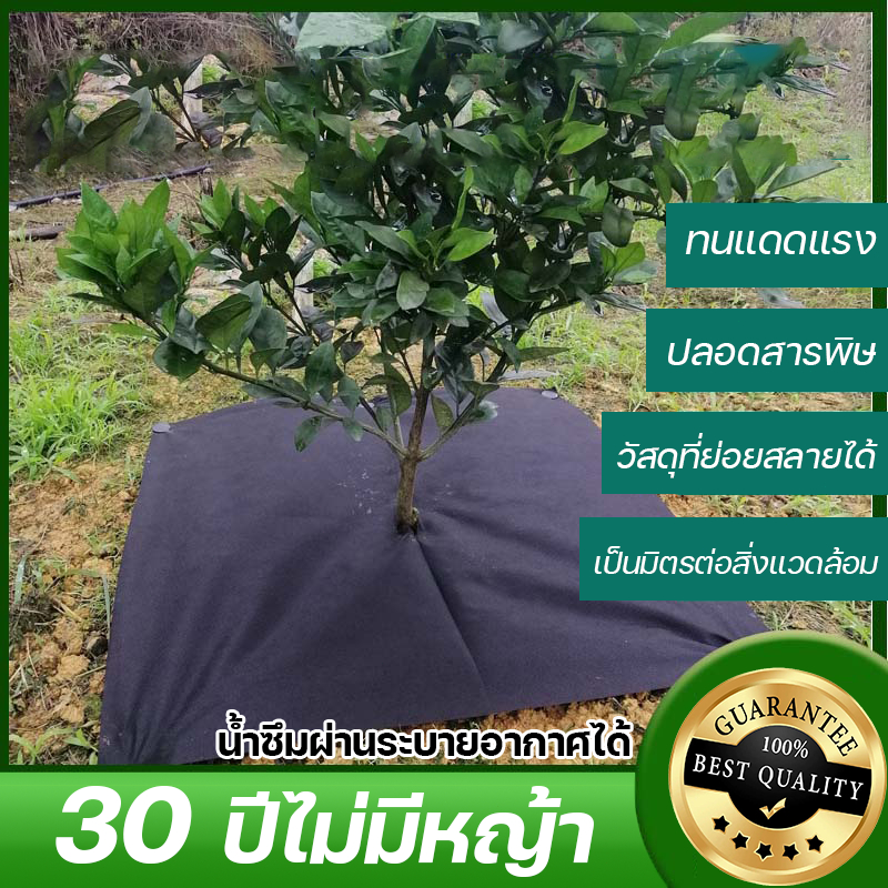 30 ปีไม่มีหญ้า SC พลาสติกคลุม พลาสติกคลุมดิน พลาสติกคลุมหญ้า ผ้าคลุมวัชพืช กำจัดหญ้า คลุมวัชพืช ผ้าคลุมดิน 10/15/20แผ