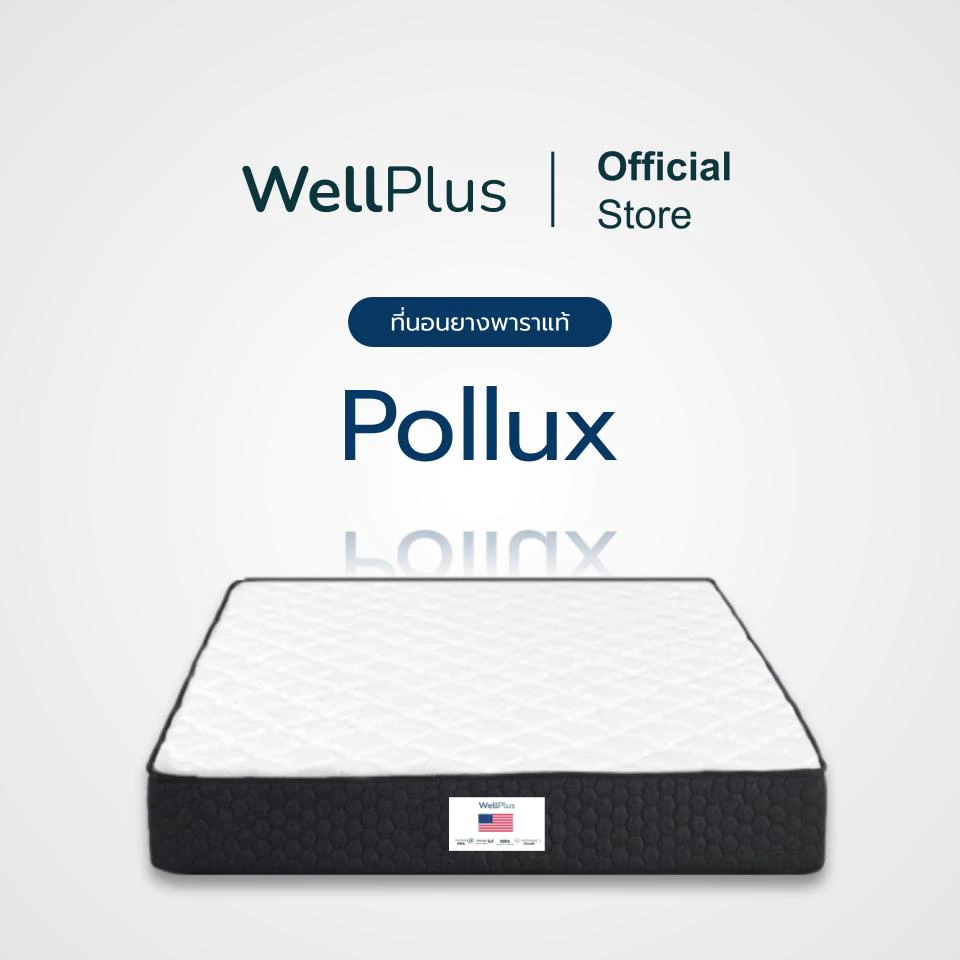 WellPlus ที่นอนยางพาราแท้ รุ่น Pollux ขนาด 3 3.5 5 6 ฟุต thumbnail 3