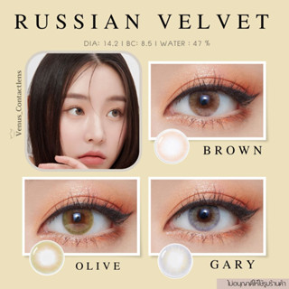 คอนแทคเลนส์  RUSSIAN VELVET​ ✨ ยี่ห้อ GAEZZ ; Color Brown / Gary / Olive  ( สายตาปกติ )