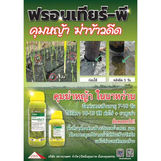 ฟรอนเทียร์ พี 500 cc. (ของแท้)( ไดเมทีนามิด-พี ) คุมหญ้า ฆ่าข้าวดีด หมักหญ้า หมักข้าวดีด ดอกขาว กก