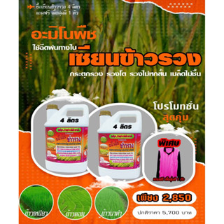 [พร้อมส่ง] เซียนข้าวรวง ขนาด4ลิตร แถมอีก 1แกลลอน และเสื้อ1ตัว ฮอร์โมนบำรุงข้าวตั้งท้อง อาหารเสริมพืช ข้าวรวง ฮอร์โมนข้าว