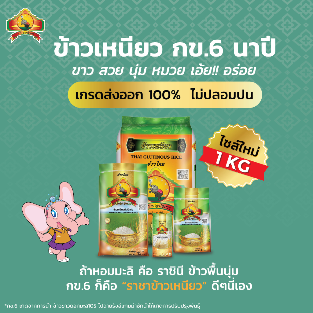 รูปภาพ 3