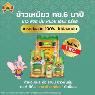 8.8 ลดสุด(ซื้อในไลฟ์ ตกถุงละ28฿ ใช้โค้ด30%)แพ็ก2 ข้าวเหนียวนาปีกข.6(ข้าวใหม่ปี69) ขนาด5KG 2ถุง ตราพญาไอ