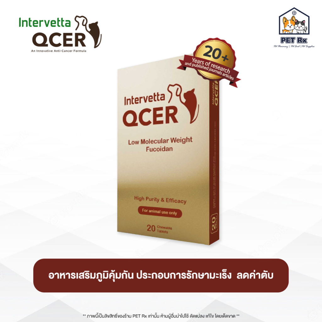 QCER [แท้ ] อาหารเสริมต่อต้านมะเร็ง (คิวเซอร์) เสริมภูมิคุ้มกันและปรับสมดุลร่างกาย (1 กล่องบรรจุ 20 เม็ด)