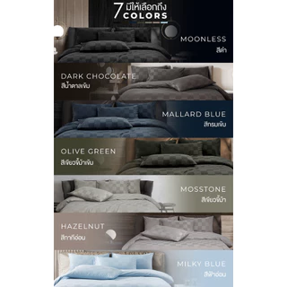 ibed ชุดผ้าปูที่นอนทอลายครบเซ็ท Softex Satin (ทอลายตาราง) Moonless - CHECKERD COLLECTION