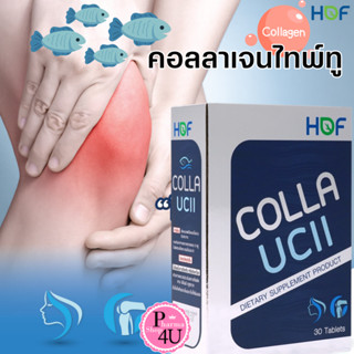 HOF COLLA UCII คอลลาเจน UCII 30เม็ด คอลลาเจนเพื่อผิว เส้นผมแข็งแรง เงางาม เล็บไม่เปราะง่าย กระดูกและข้อ #11007