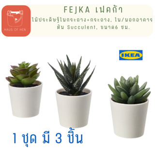 FEJKA เฟคก้า ไม้ประดิษฐ์ในกระถาง+กระถาง, ใน/นอกอาคาร ต้น Succulent, ขนาด 6 ซม. 1 ชุด มี 3 ชิ้น ต้นไม้ปลอม