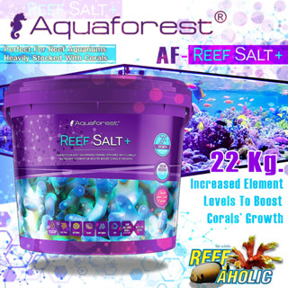 Aquaforest Reef Salt Plus+ 22 Kg Bucket เกลือทะเลสังเคราะห์สูตรเข้มข้น ล้นปริมาณแร่ธาตุ ตั้งแต่เปิดถังแรก