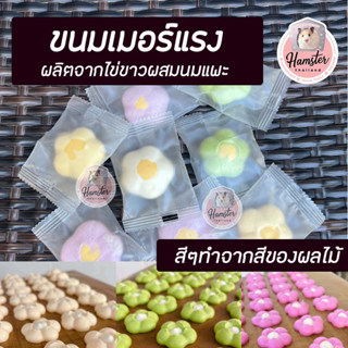 [Hamsterthailand] ขนม เมอแรง ไข่ขาวผสมนมแพะ อาหาร ไข่ขาวอบ สำหรับสัตว์เลี้ยงแฮมสเตอร์ เม่นแคระ แฟตเทล