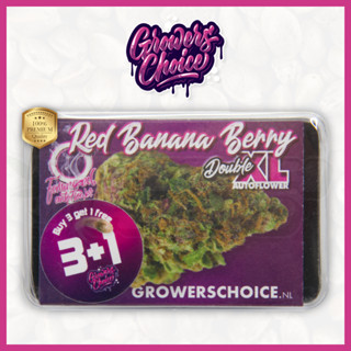 Red Banana Berry Double XL (Auto) - Growers Choice เมล็ด กัญชา นำเข้าแท้100% เมล็ดเพศเมีย