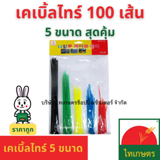 เคเบิ้ลไทร์ Cable Tie 100 เส้น สายรัดพลาสติกเคเบิลไทร์ หนวดกุ้ง ชุดรวม 5 ขนาด (4,4.5,6,8,10 นิ้ว)