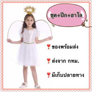 ชุดนางฟ้า เทวดา ชุดกามเทพ คิวปิด ทูตสวรค์ ฑูตสวรรค์ cupid angel angle