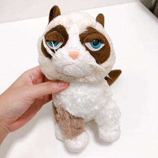 ตุ๊กตาแมวหน้าบึ้ง Grumpy cat Think Grumpy GANZ  ลิขสิทธิ์แท้ *ตำหนิ มีรอยสะกิดที่ตาขวานิดหน่อย 🇯🇵